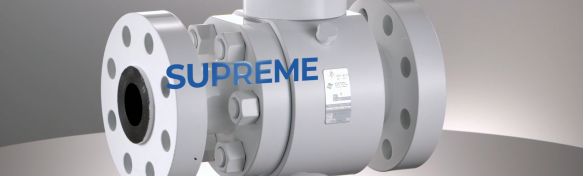 進口閥門選型寶典